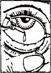 Tears lubricante pomada ocular-figura1